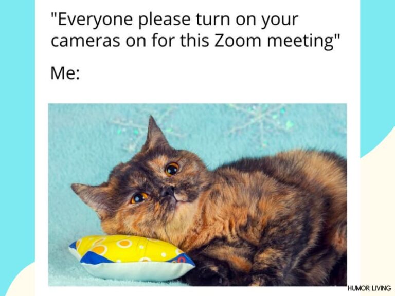 70+ Hilarious Zoom Memes to Make Zoom Meetings Bearable Humor Living