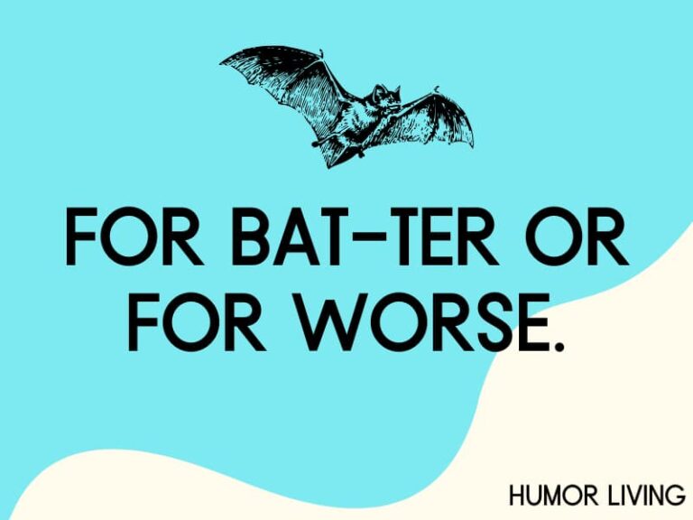 85+ Funny Bat Puns to Sink Your Fangs Into Humor Living