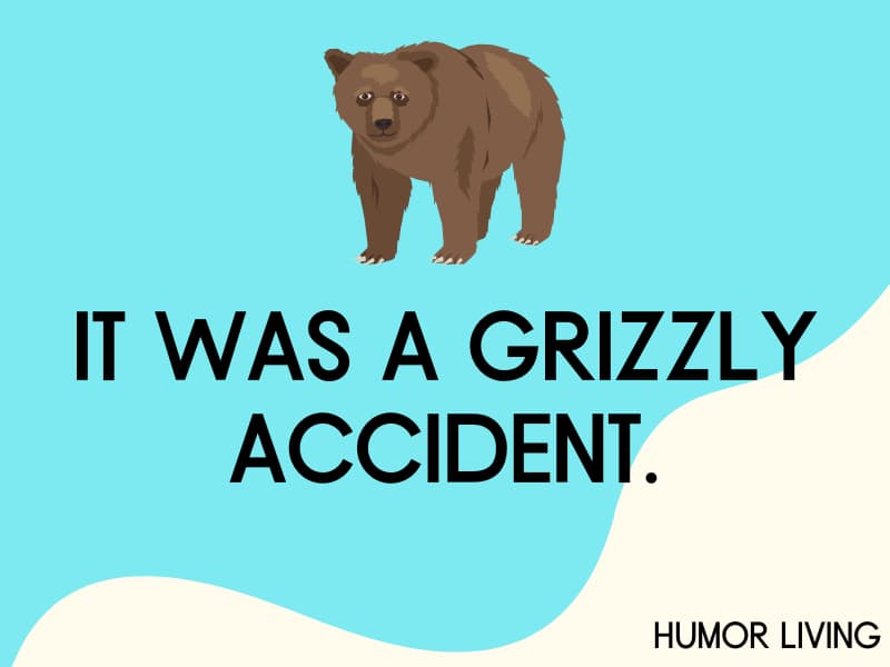 Grizzly bear.