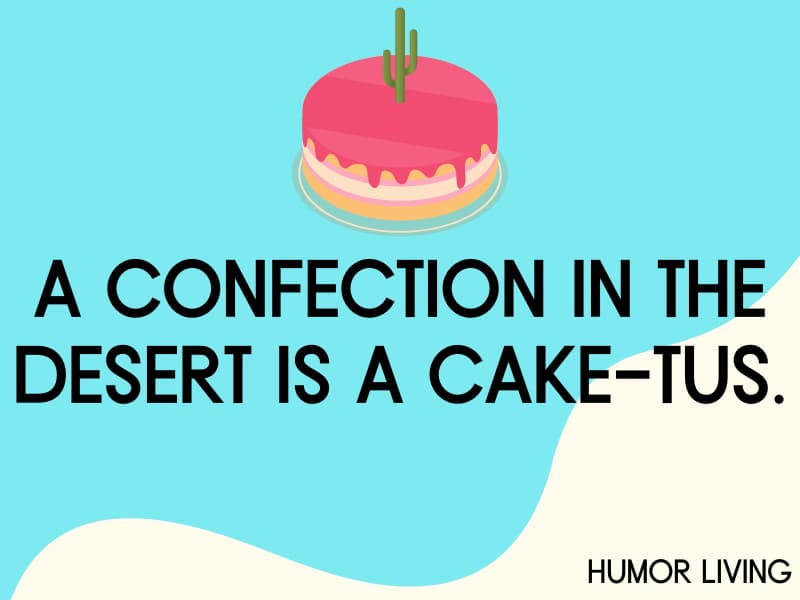 100 Wonderful Cake Captions for Instagram (Funny Puns!)