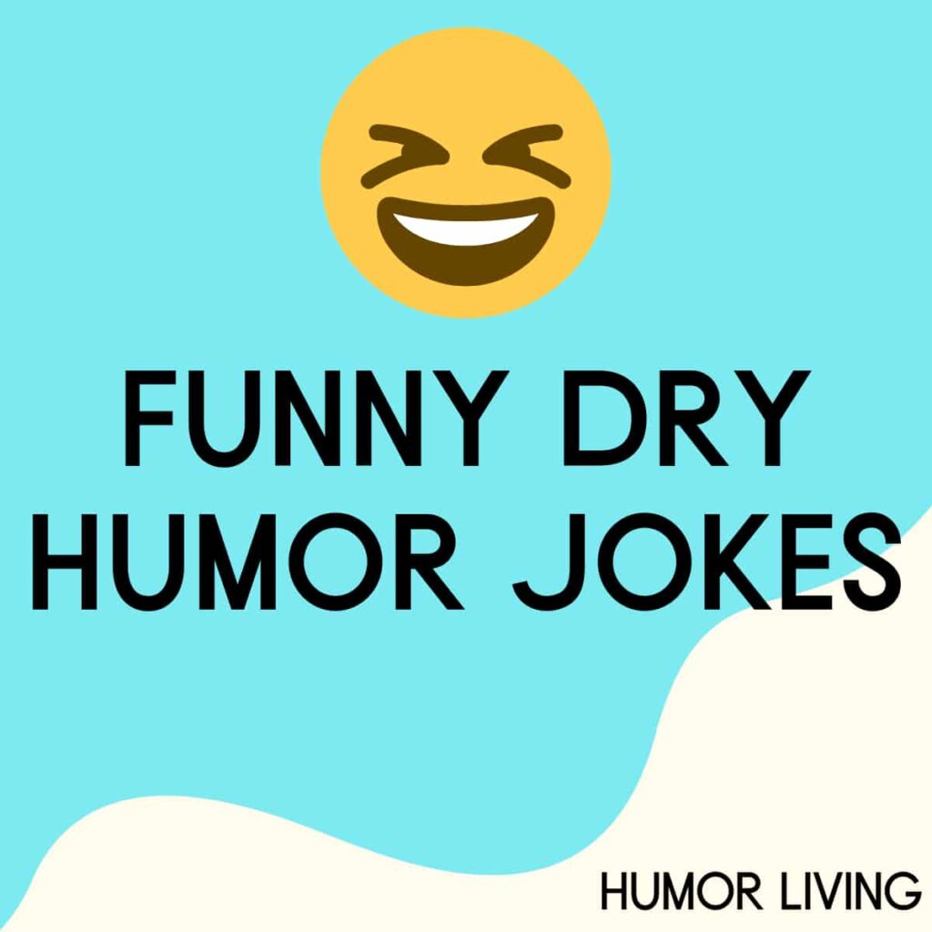 110-funny-dry-humor-jokes-to-make-you-laugh-so-hard-humor-living