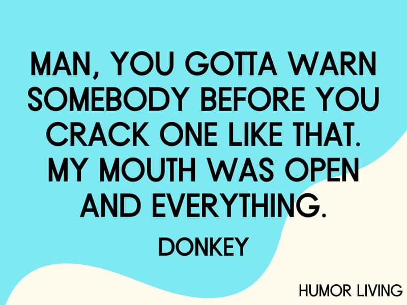 Funny Shrek quote by Donkey about warning people.