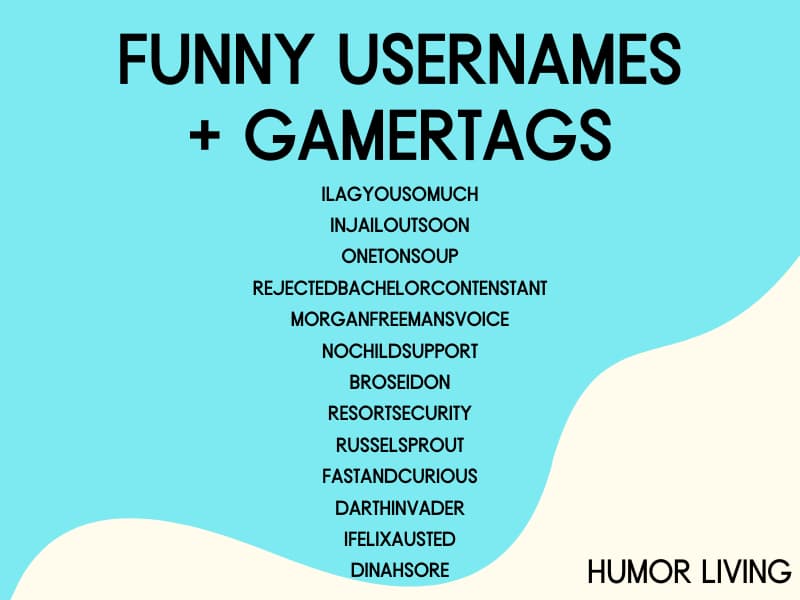 205+ Funny Usernames for Games (Hilarious Gamertags) Humor Living