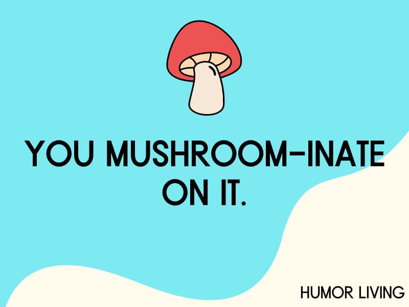 80 Funny Mushroom Puns To Make You Laugh Humor Living 2090