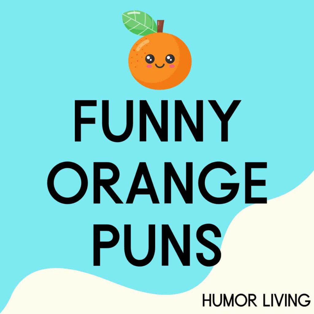 65+ Funny Orange Puns to Brighten Your Day Humor Living