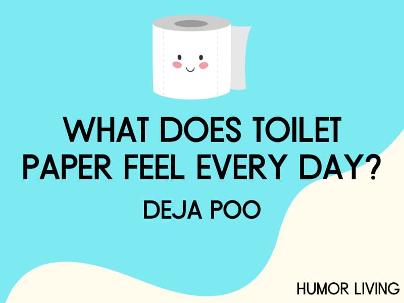 Roll of toilet paper.