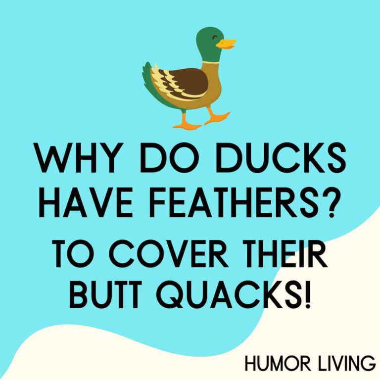 why-do-ducks-have-feathers-to-cover-their-butt-quacks-humor-living