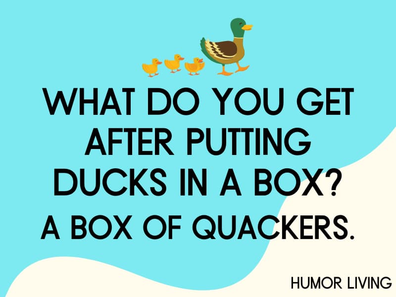 105+ Funny Food Jokes to Cook Up Laughter - Humor Living