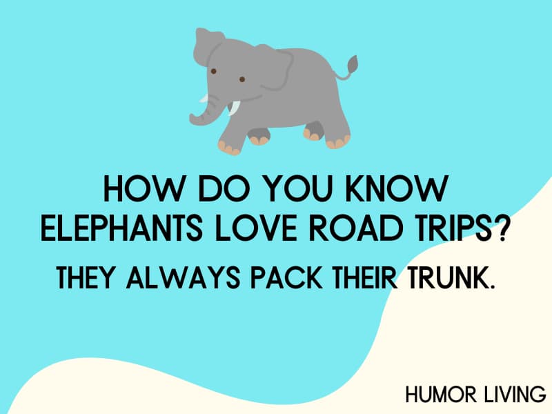 Elephant.