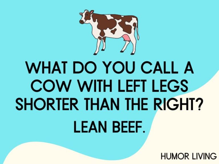 40-funny-beef-jokes-to-make-you-go-moo-humor-living