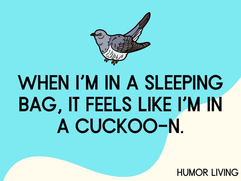 Cuckoo.