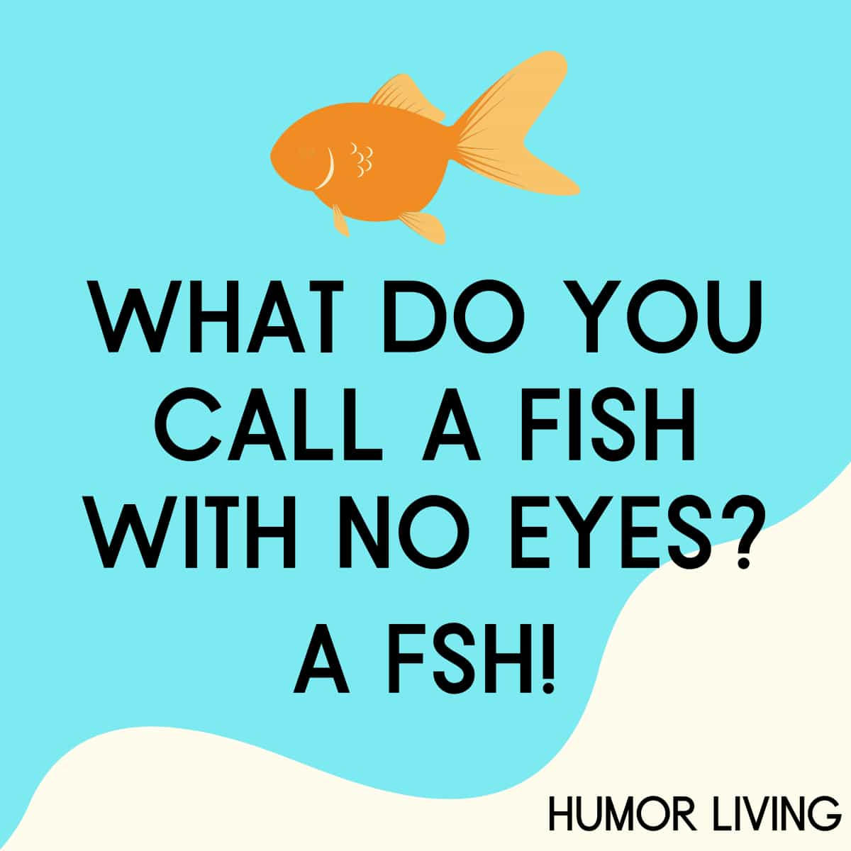 what-do-you-call-a-fish-with-no-eyes-a-fsh-humor-living