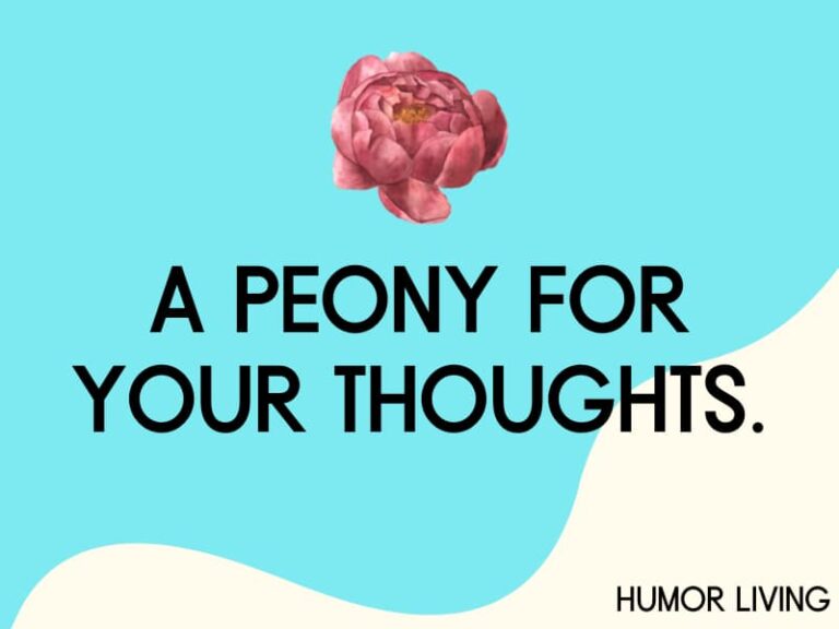 100+ Hilarious Flower Puns to Bloom Laughter Humor Living