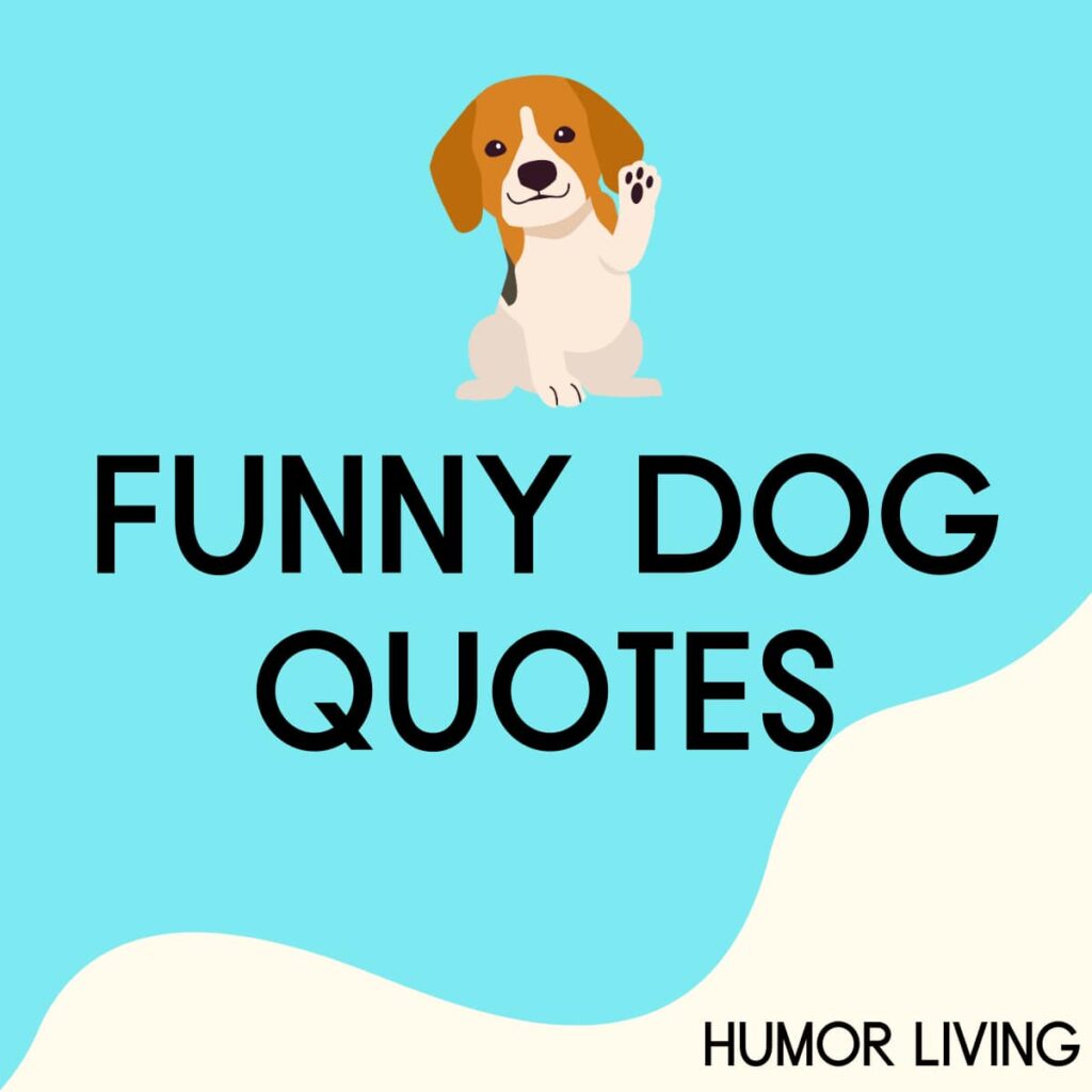 Funny Dog Quotes 1024x1024 