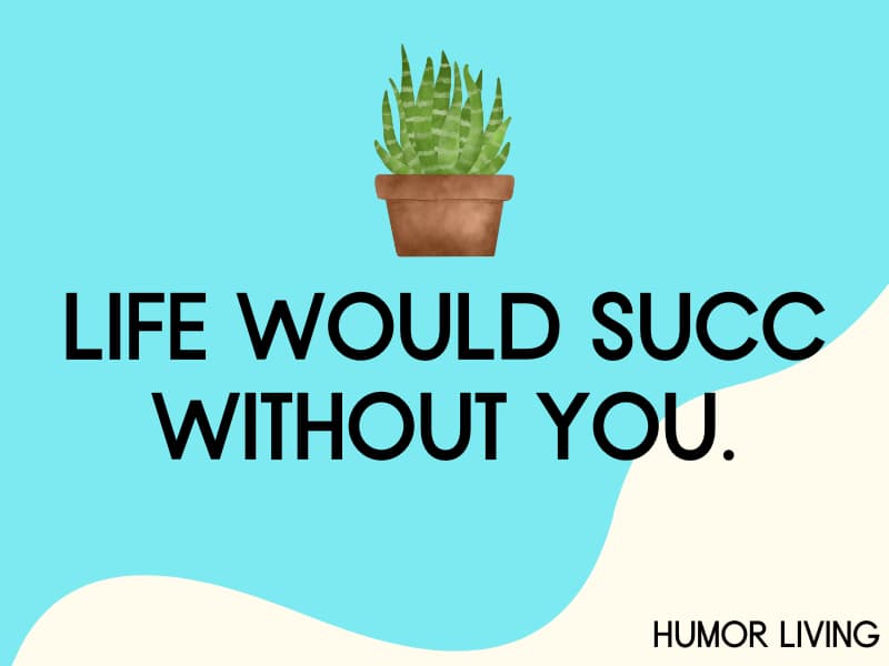 160+ Funny Plant Puns to Grow Laughter - Humor Living