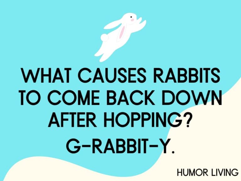 85+ Hilarious Rabbit Jokes to Make You Hop With Laughter - Humor Living