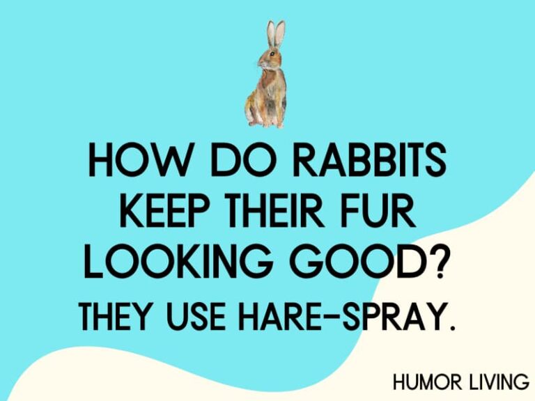 85+ Hilarious Rabbit Jokes to Make You Hop With Laughter Humor Living