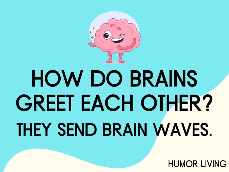 45+ Hilarious Brain Jokes to Make You Laugh - Humor Living