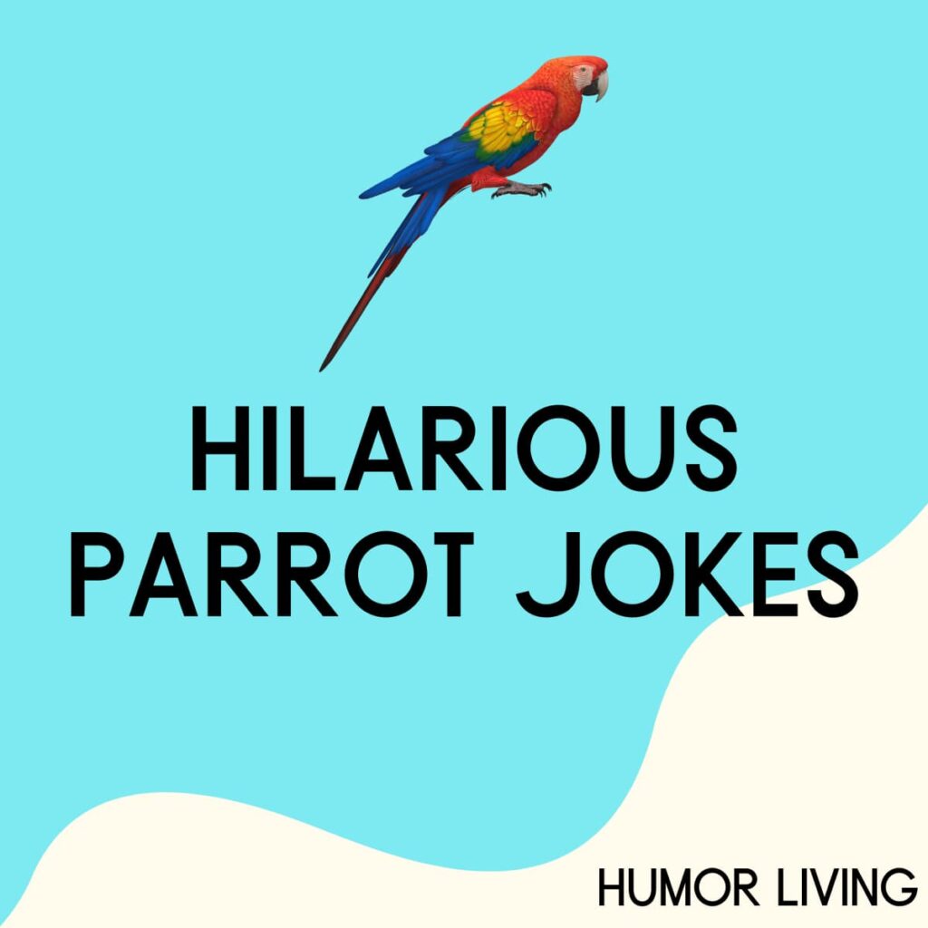 30+ Hilarious Parrot Jokes to Make You Laugh - Humor Living