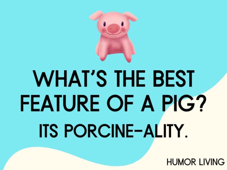 80+ Hilarious Pig Jokes to Make You Oink With Laughter Humor Living