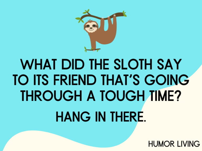 40+ Hilarious Sloth Jokes to Make You Laugh - Humor Living